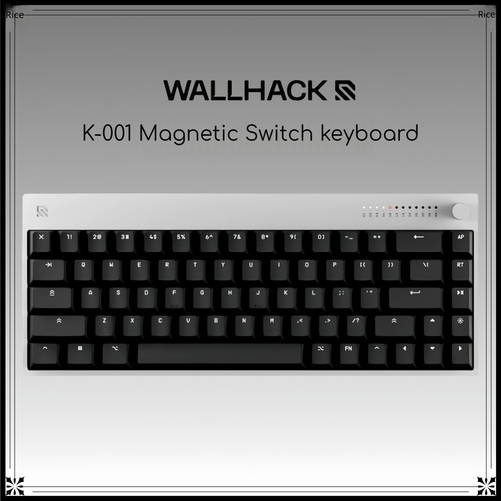 Gaming Keyboard Hall Effect Switches - Teclado com Interruptor Magnético de Efeito